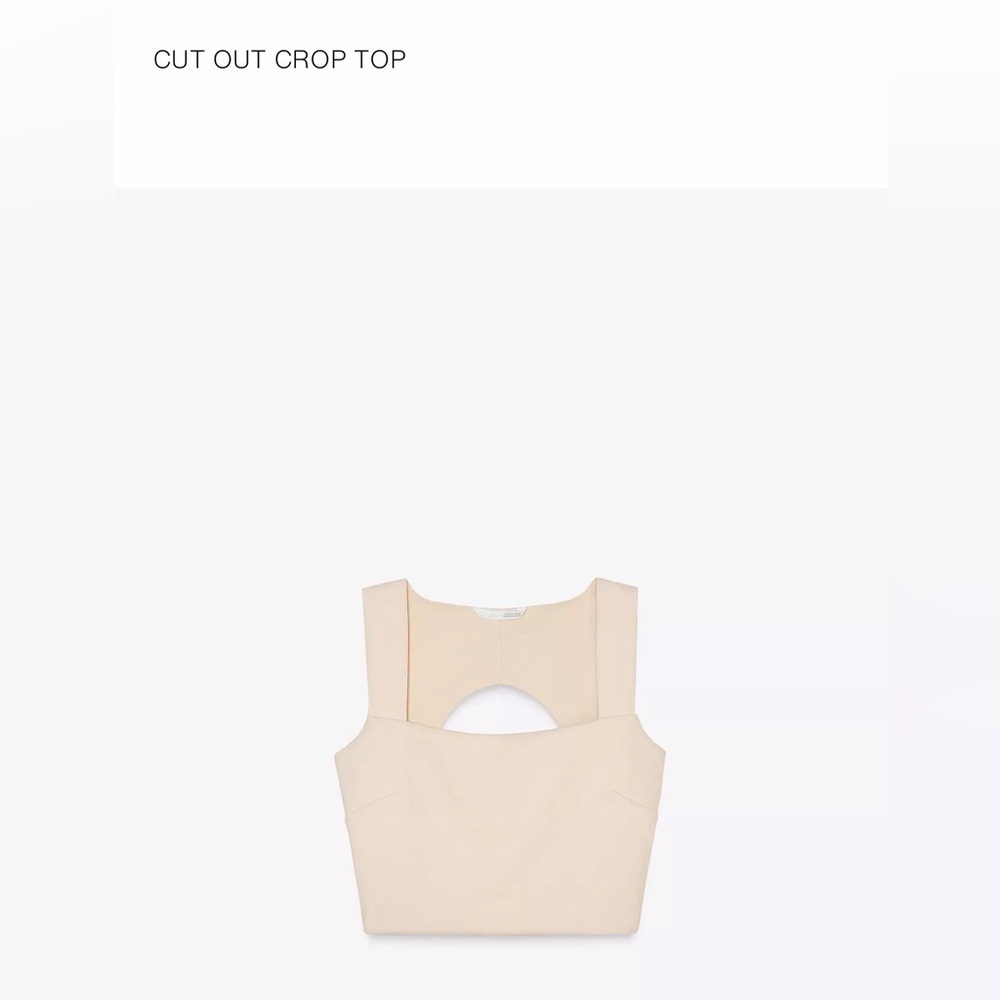 Zara cut out crop top
